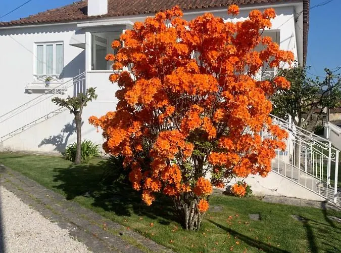 Gasthuis Casa Uveiras 4*